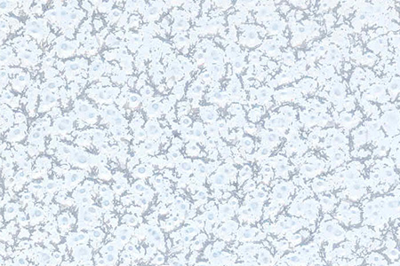 Silver flower on white
